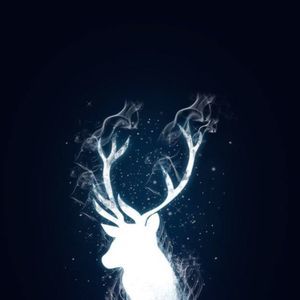 Meet your Posher, Eveline